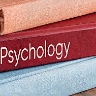 Cagkan Sayin/Shutterstock